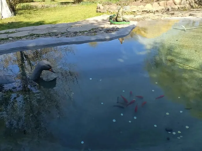 IMG_20260408_131654_782