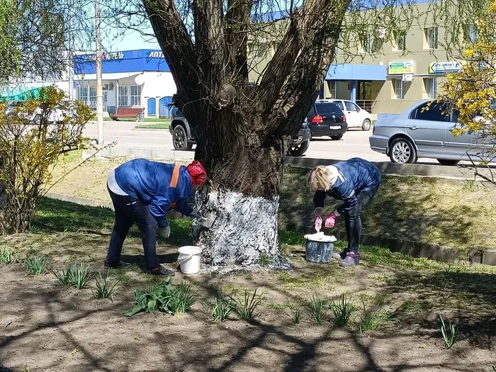 IMG_20260407_095941_564