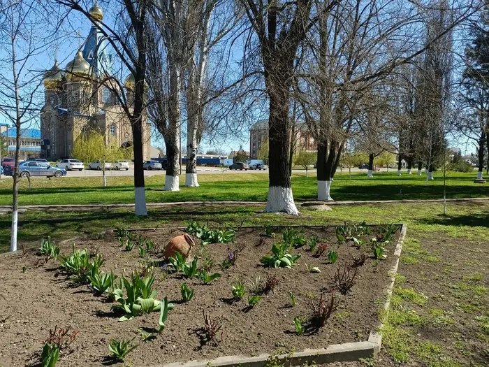 IMG_20260407_095941_646